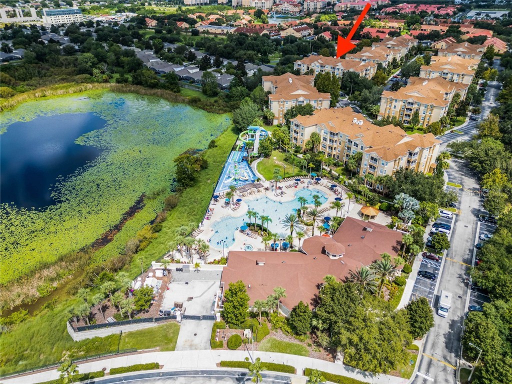 7671 Comrow Street #202 Kissimmee FL 34747 S5111171 image2