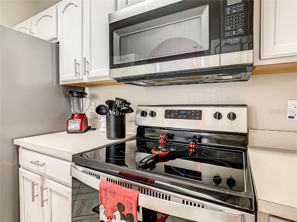 7671 Comrow Street #304 Kissimmee FL 34747 O6327192 image9