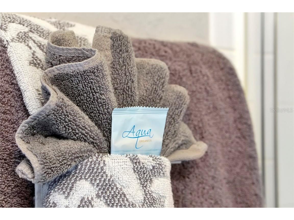 7671 Otterspool Street Kissimmee FL 34747 O6362772 image28