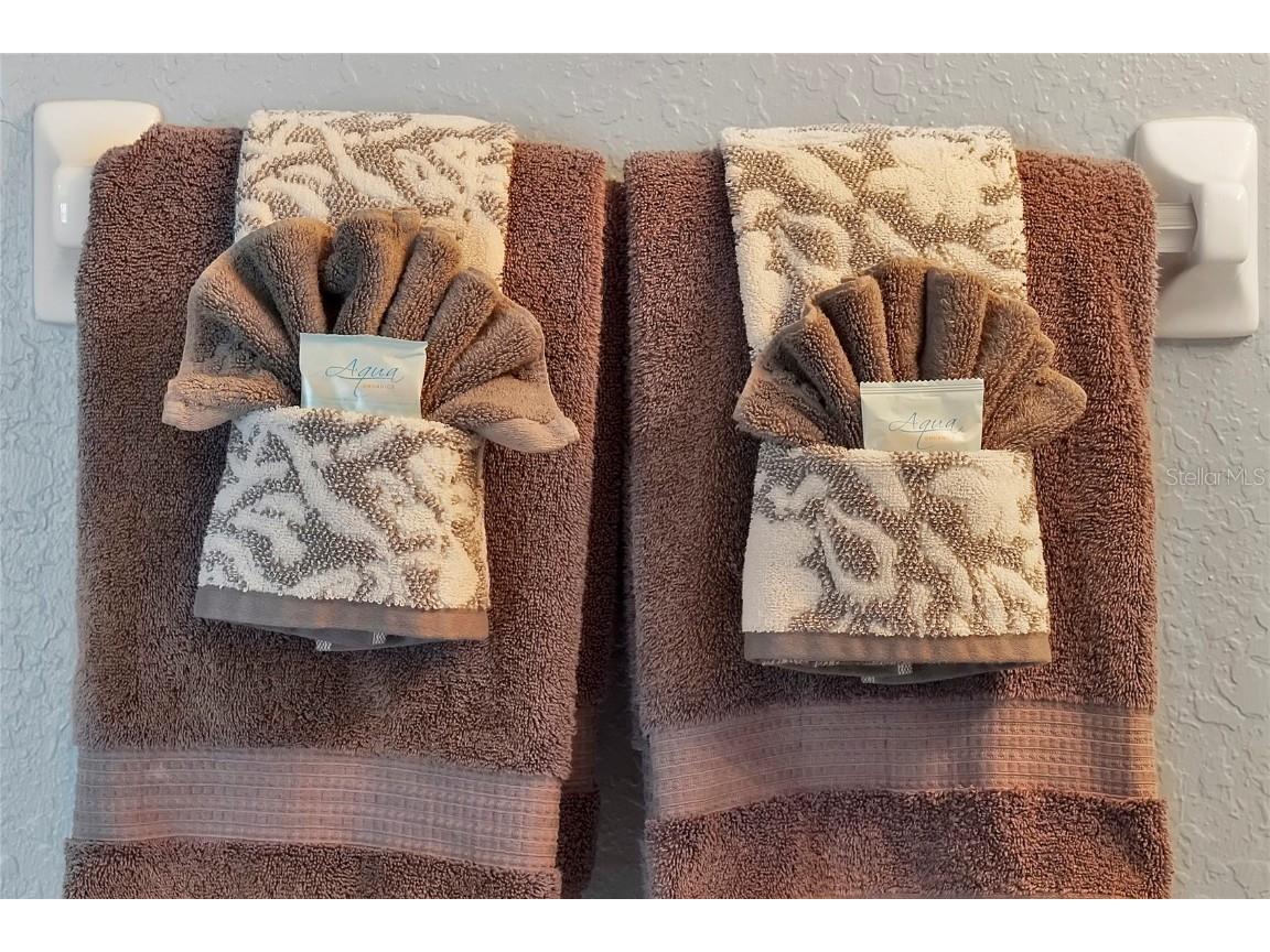 7671 Otterspool Street Kissimmee FL 34747 O6362772 image36