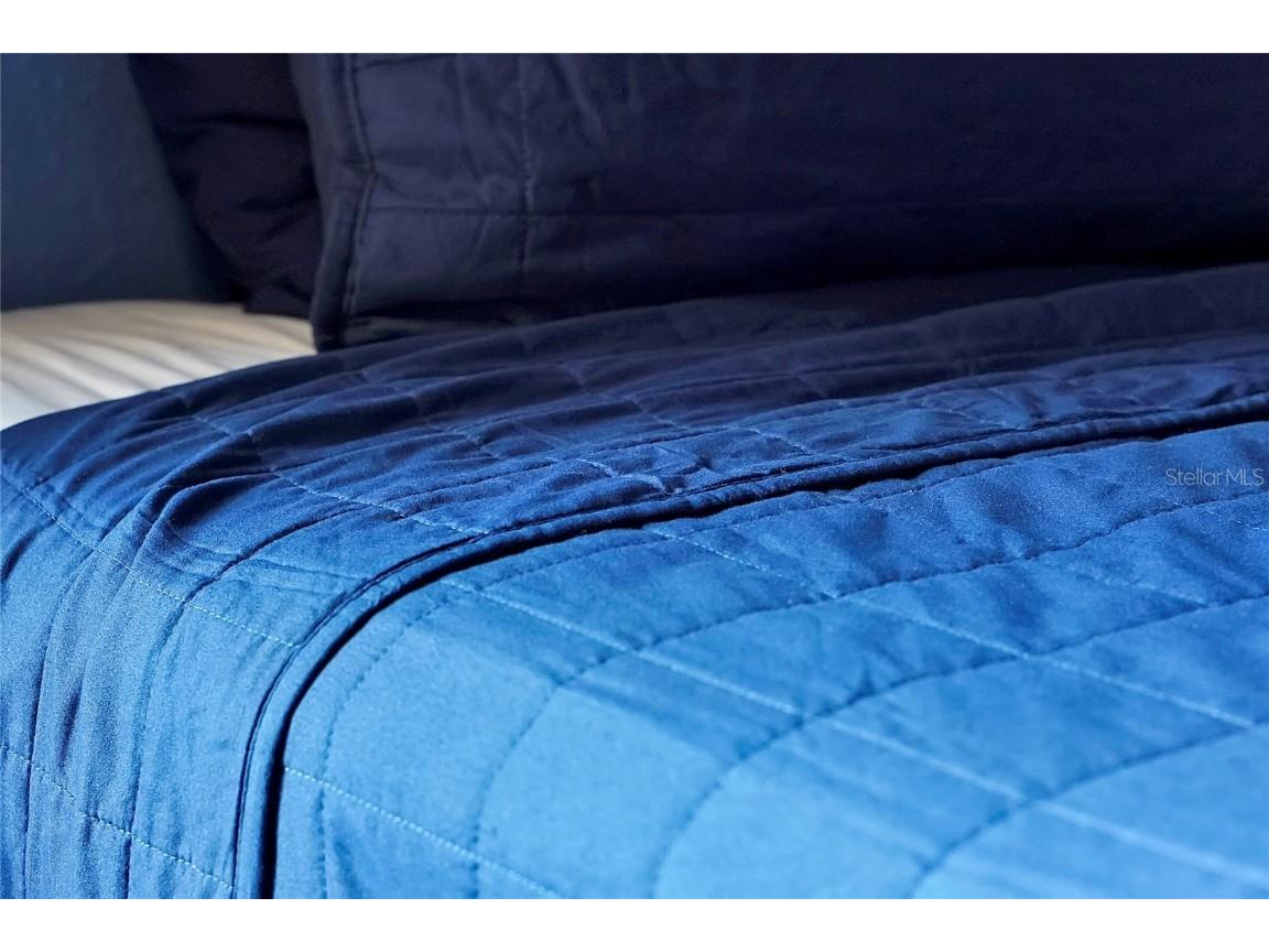 7671 Otterspool Street Kissimmee FL 34747 O6362772 image42