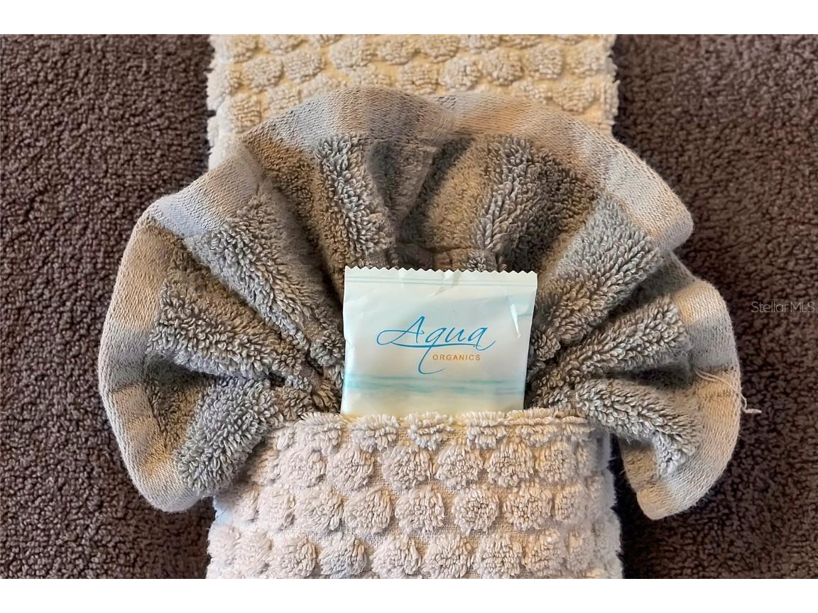 7671 Otterspool Street Kissimmee FL 34747 O6362772 image47