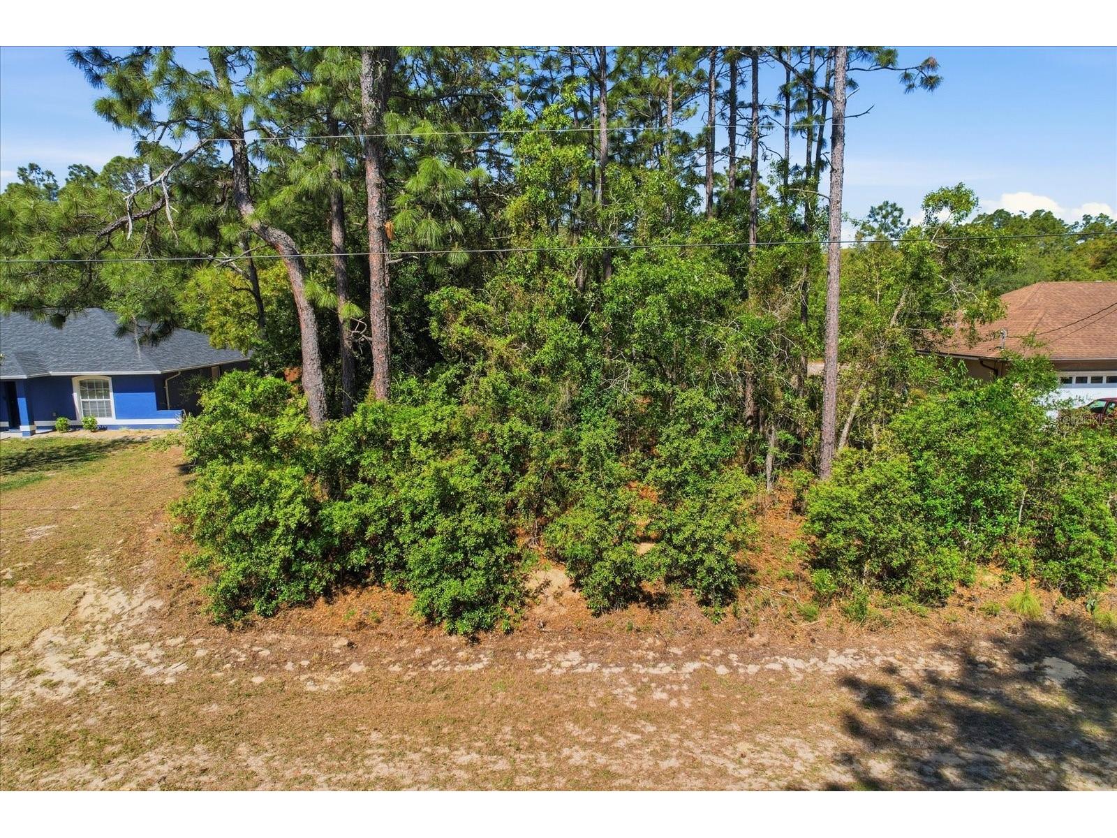 7672 N Cricket Drive Citrus Springs FL 34434 OM722940 image34