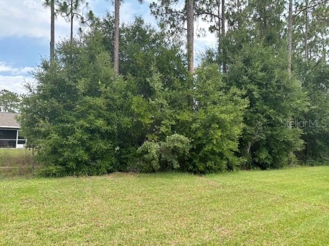7673 SW 180th Circle Dunnellon FL 34432 OM694567 image13