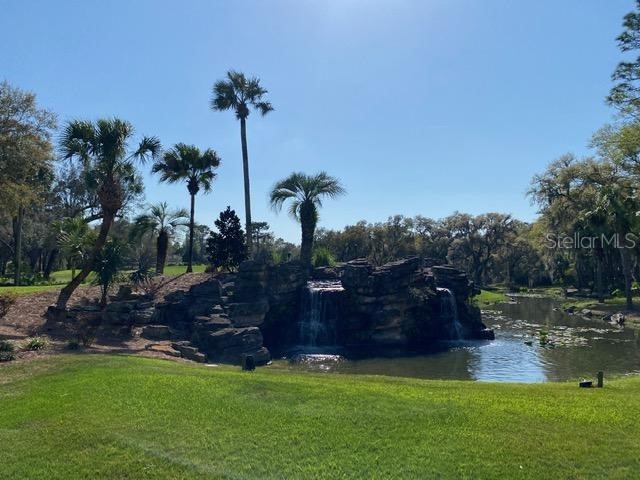 7673 SW 180th Circle Dunnellon FL 34432 OM694567 image20