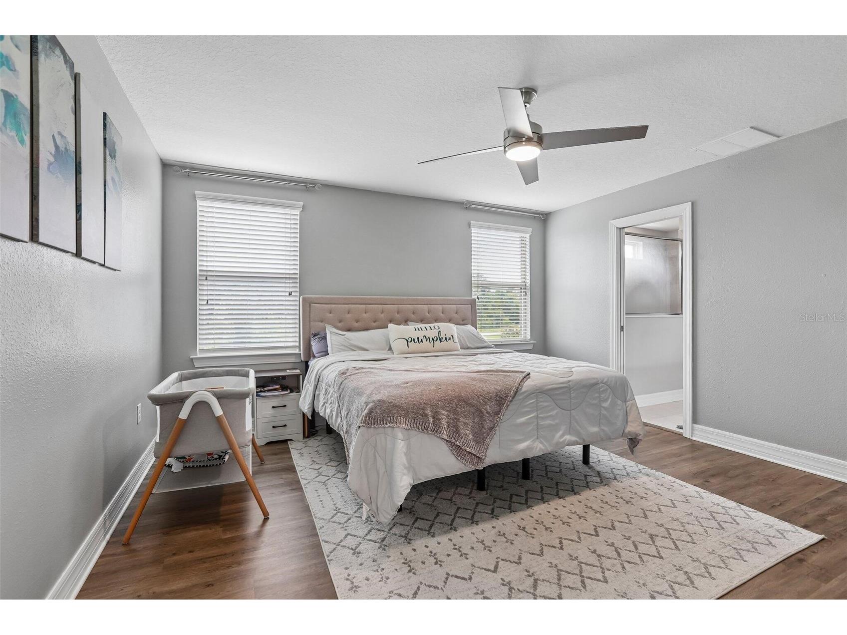 7673 Yale Harbor Drive Wesley Chapel FL 33545 O6412472 image19