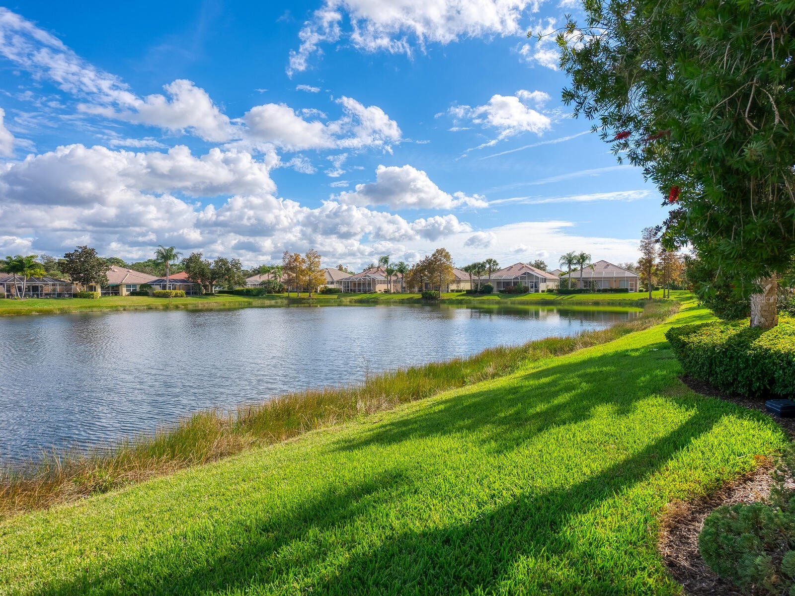 7675 Uliva Way Sarasota FL 34238 A4676670 image3