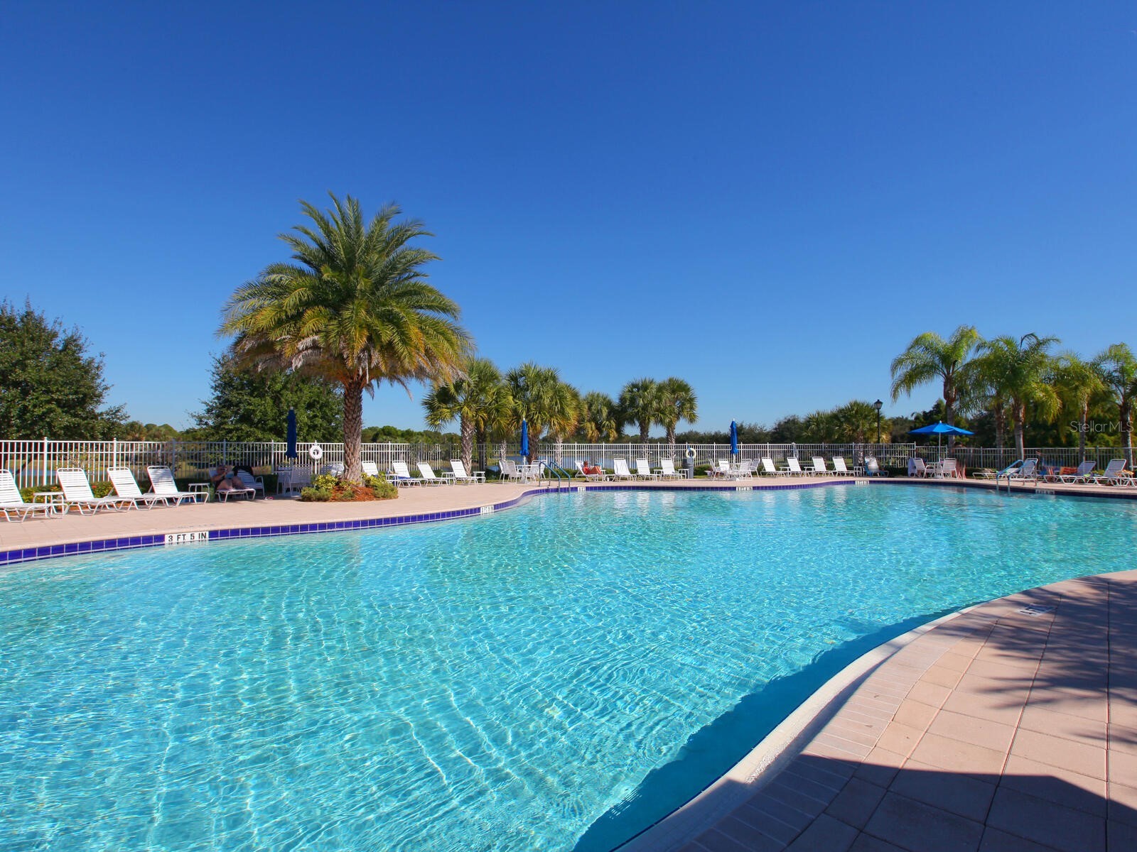 7675 Uliva Way Sarasota FL 34238 A4676670 image33