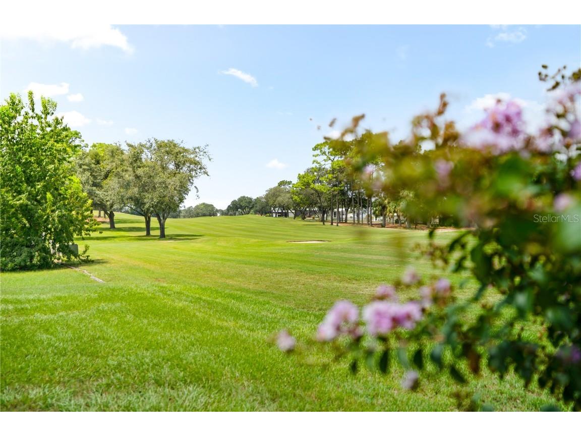 7676 Moriah Avenue Brooksville FL 34613 TB8373923 image17