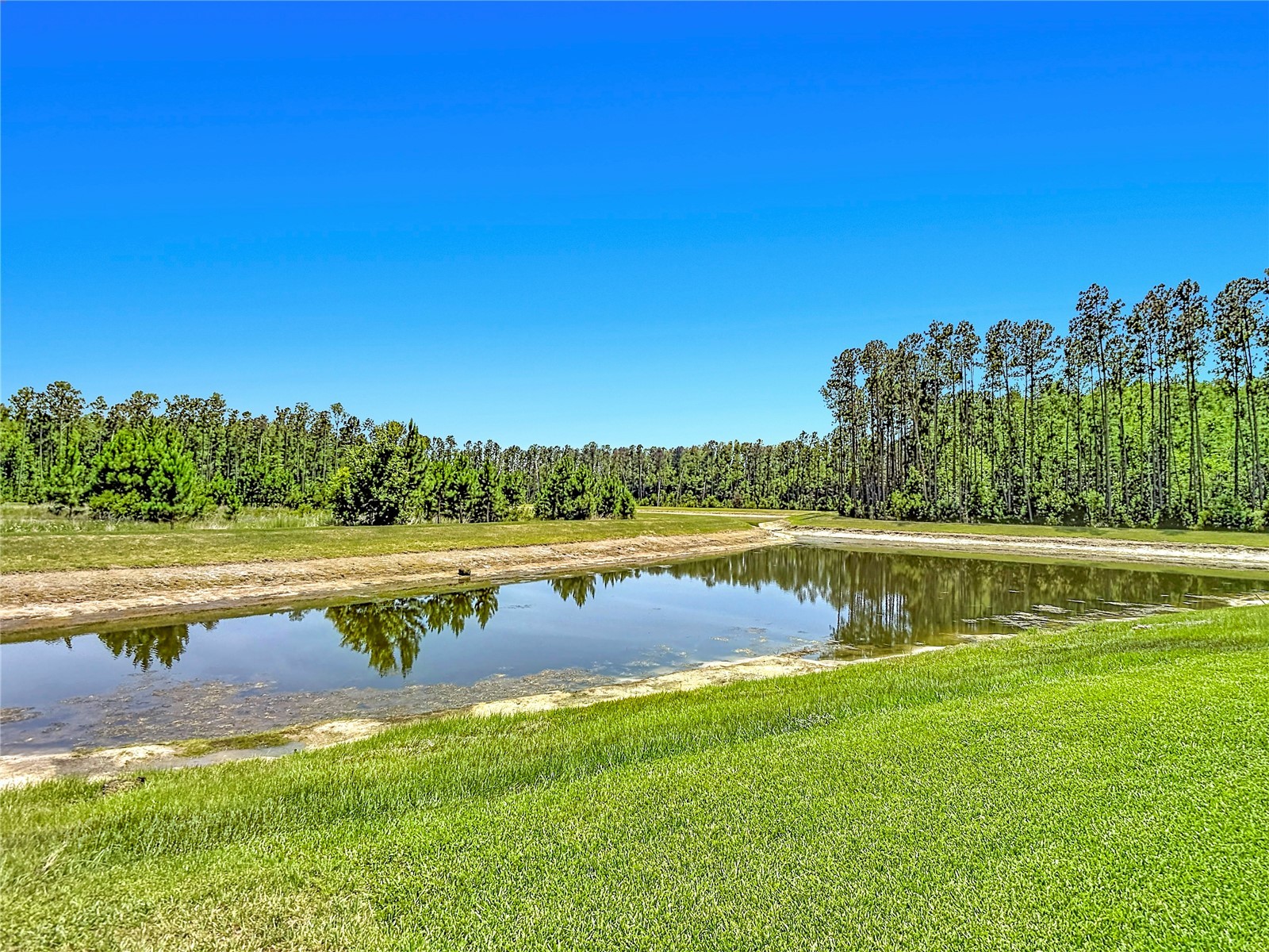 7677 Broad River Avenue Land O Lakes FL 34638 TB8517771 image80