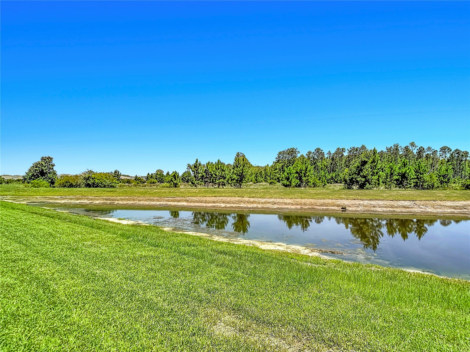 7677 Broad River Avenue Land O Lakes FL 34638 TB8517771 image81