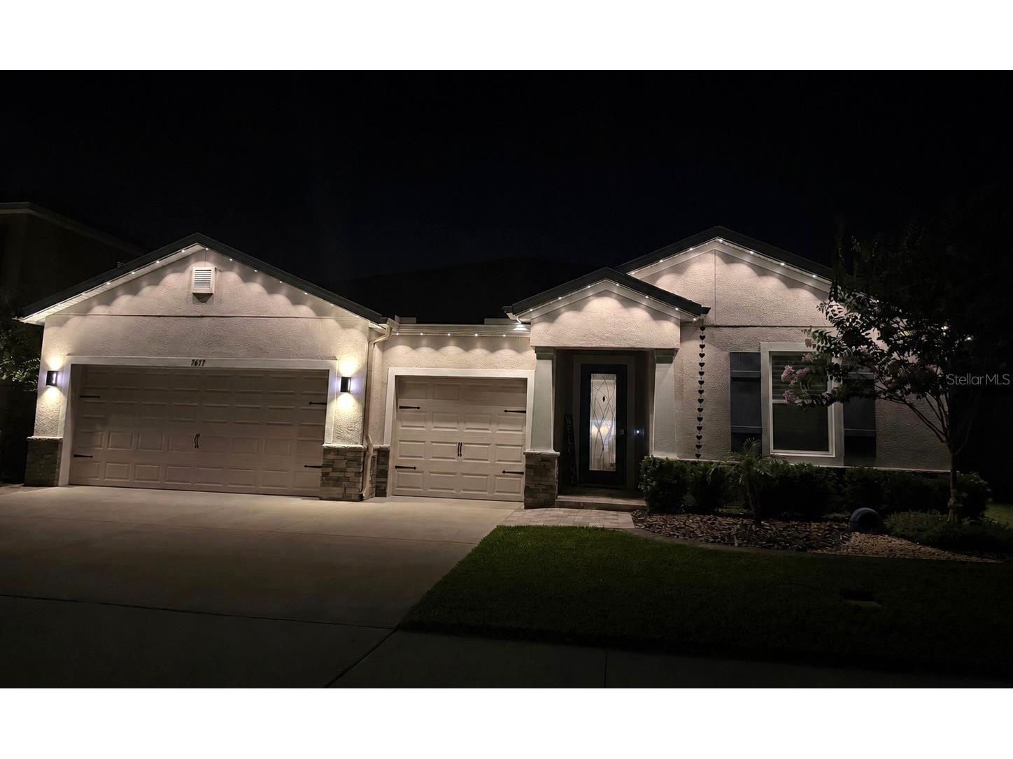 7677 Broad River Avenue Land O Lakes FL 34638 TB8517771 image83