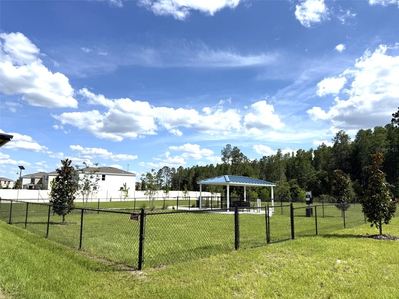 7677 Broad River Avenue Land O Lakes FL 34638 TB8517771 image86