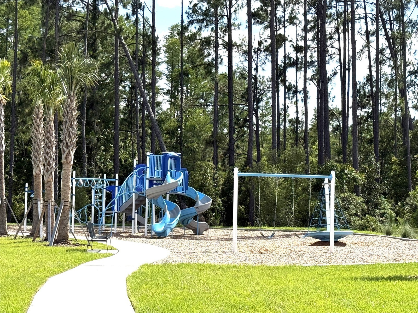 7677 Broad River Avenue Land O Lakes FL 34638 TB8517771 image87