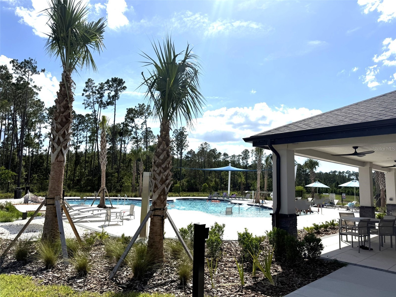 7677 Broad River Avenue Land O Lakes FL 34638 TB8517771 image88