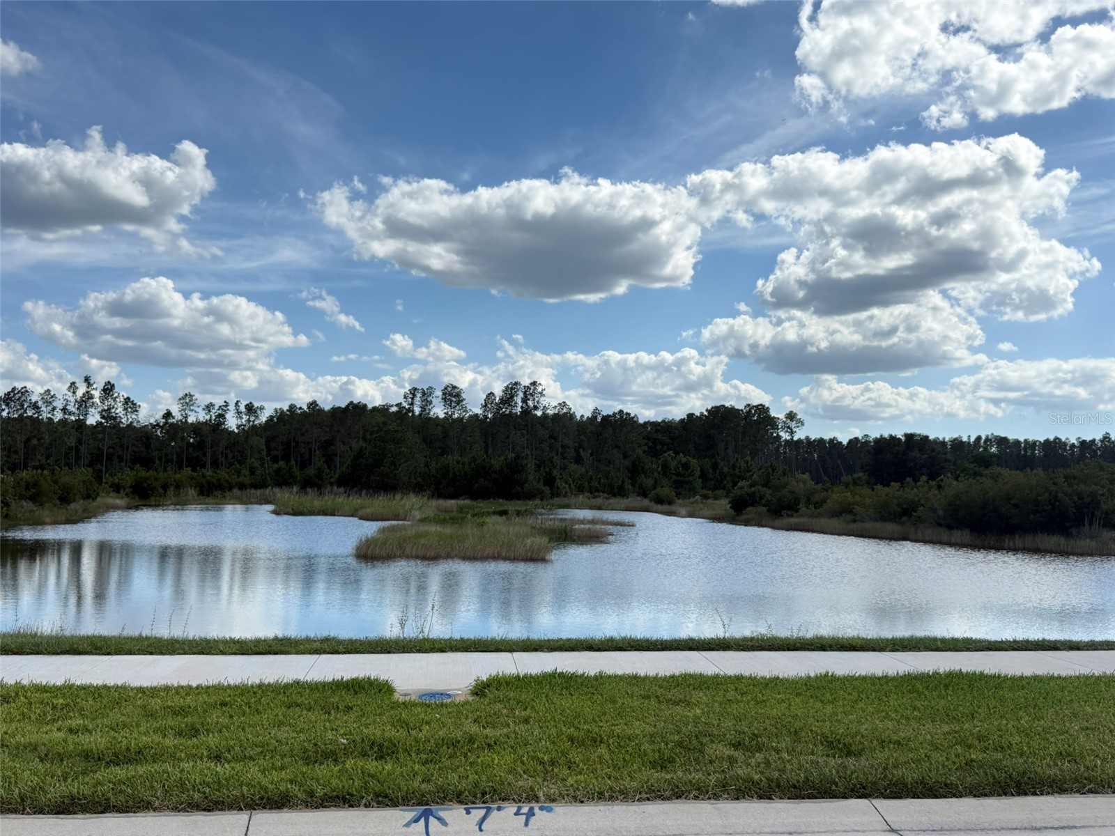 7677 Broad River Avenue Land O Lakes FL 34638 TB8517771 image89
