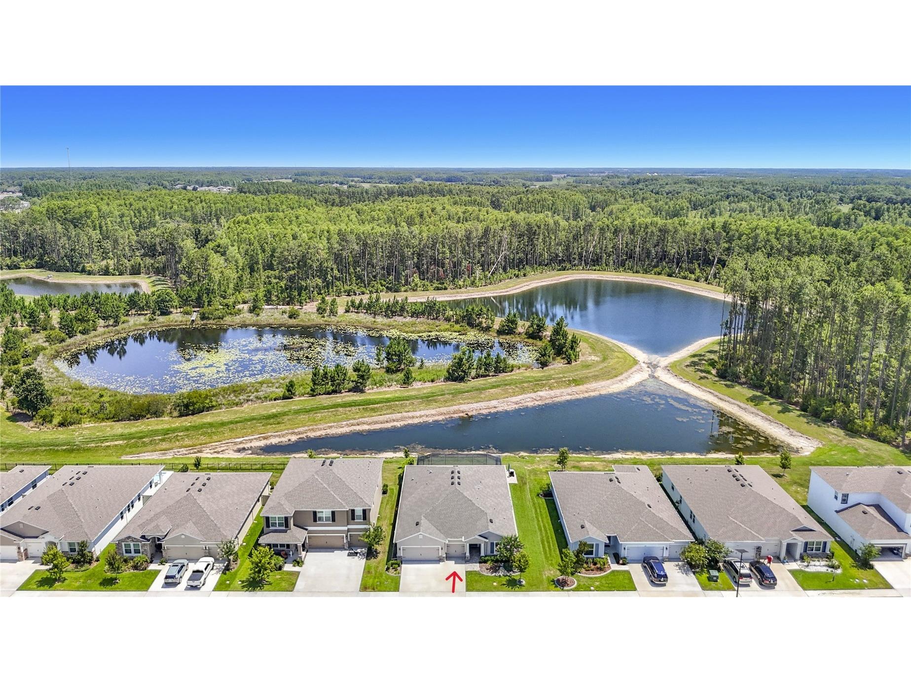 7677 Broad River Avenue Land O Lakes FL 34638 TB8517771 image90