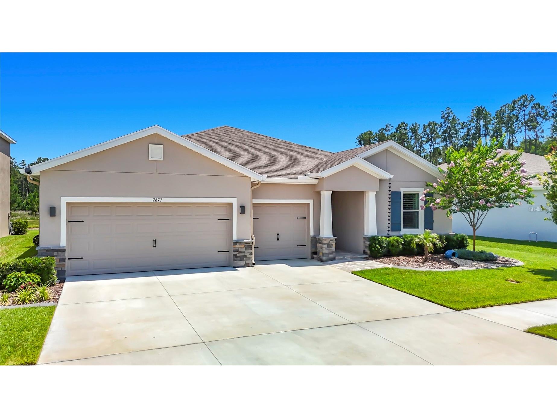 7677 Broad River Avenue Land O Lakes FL 34638 TB8517771 image97