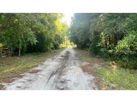 7678 SW 151st Place Dunnellon FL 34432 S5109847 image6