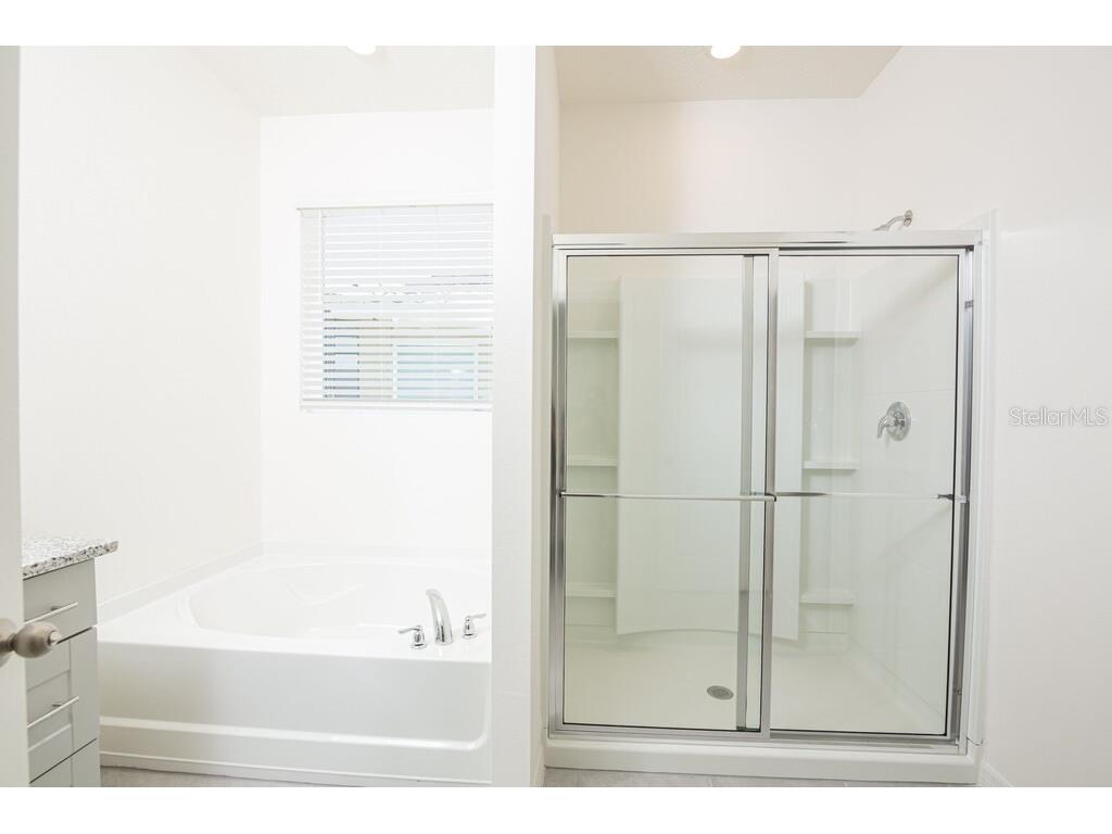 7683 Oakmoss Loop Davenport FL 33837 S5124648 image42