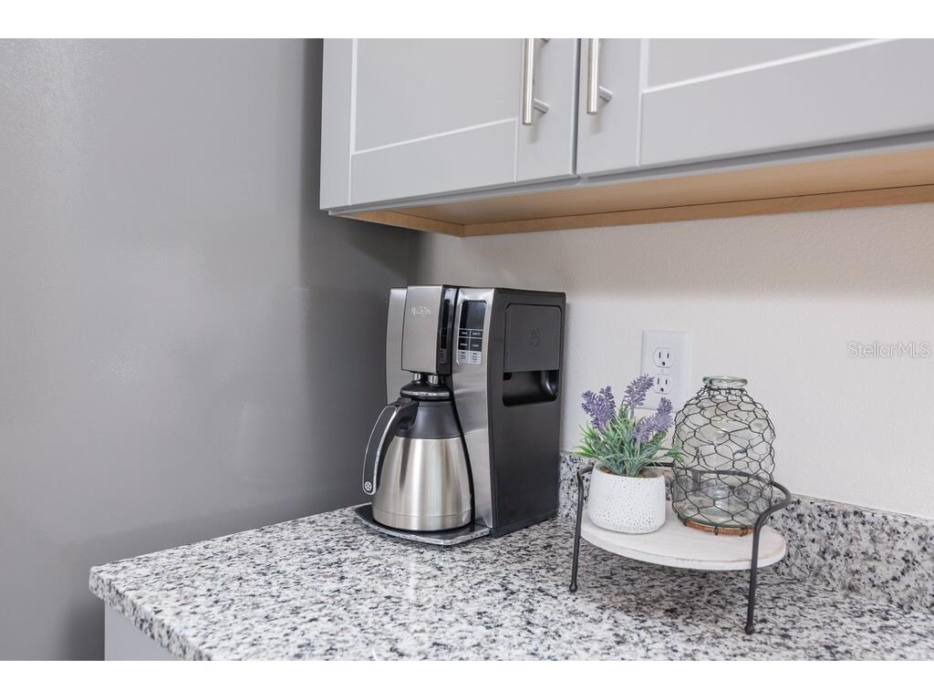 7683 Oakmoss Loop Davenport FL 33837 S5124648 image50