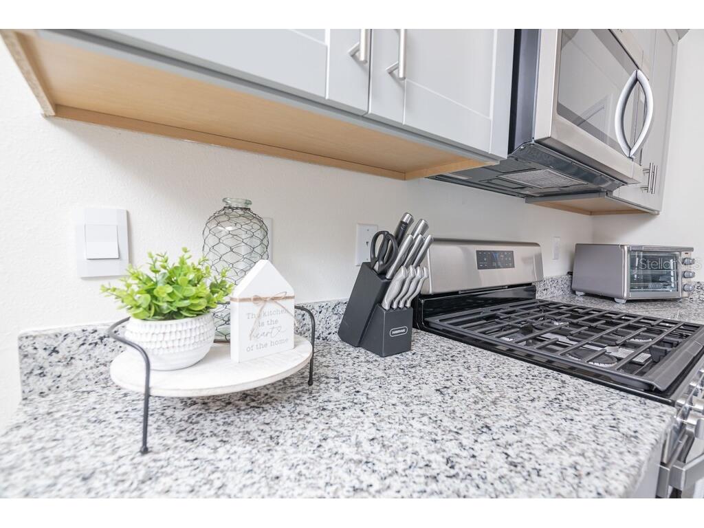 7683 Oakmoss Loop Davenport FL 33837 S5124648 image55