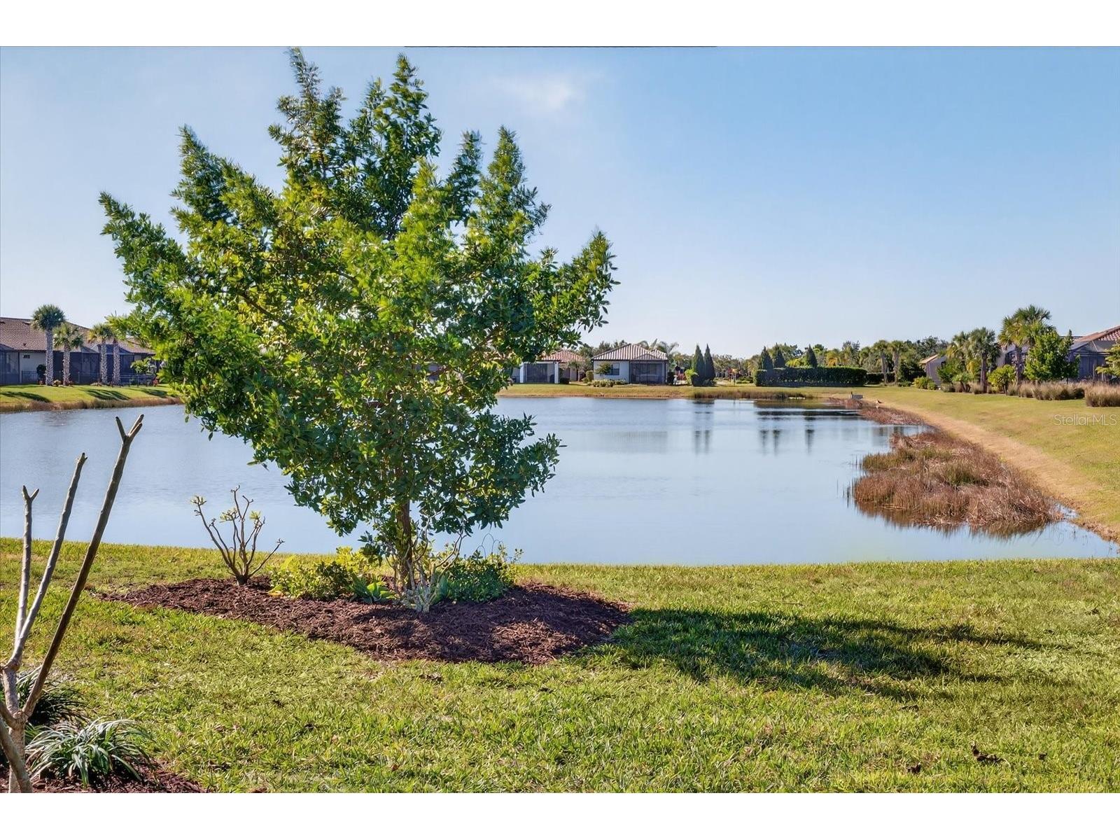 7683 Summerland Cove Lakewood Ranch FL 34202 A4678686 image62