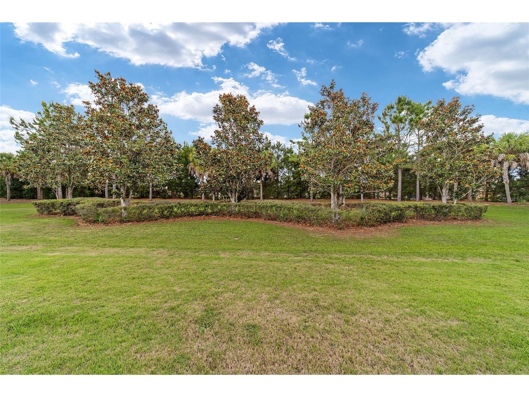 7684 SW 94th Circle Ocala FL 34481 OM725246 image21