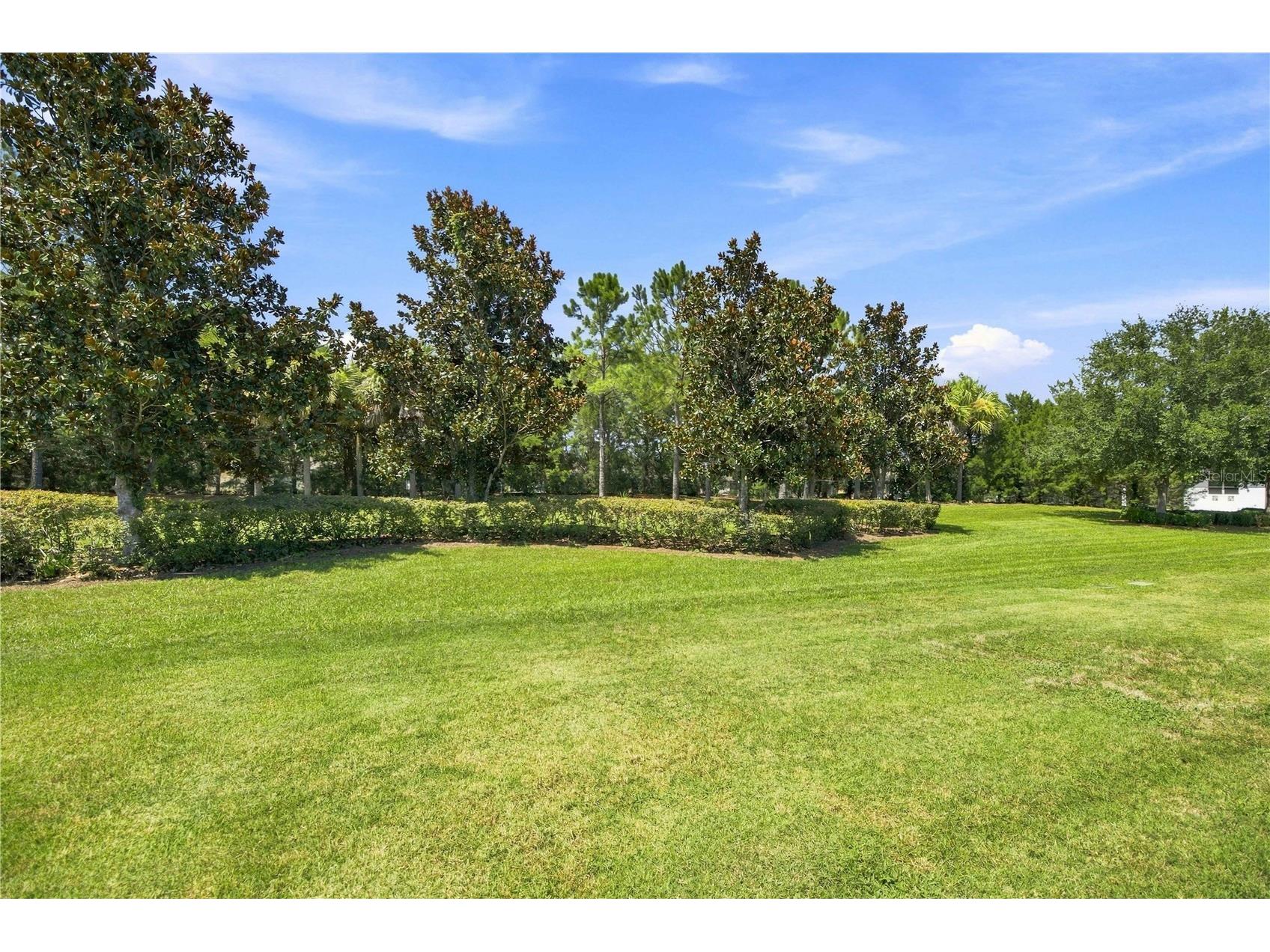 7684 SW 94th Circle Ocala FL 34481 OM729100 image25