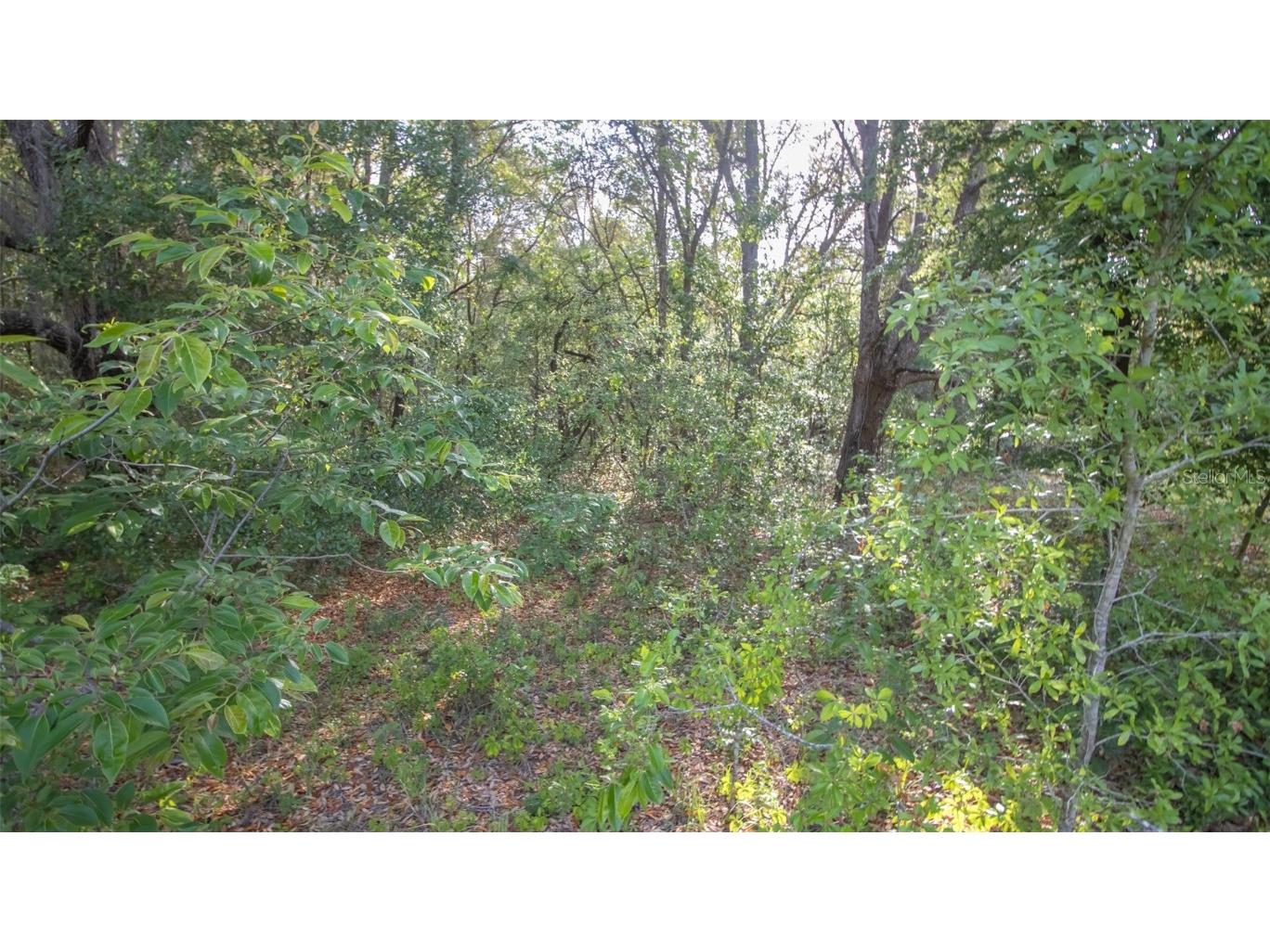 7685 Colorado Avenue Keystone Heights FL 32656 GC530359 image4