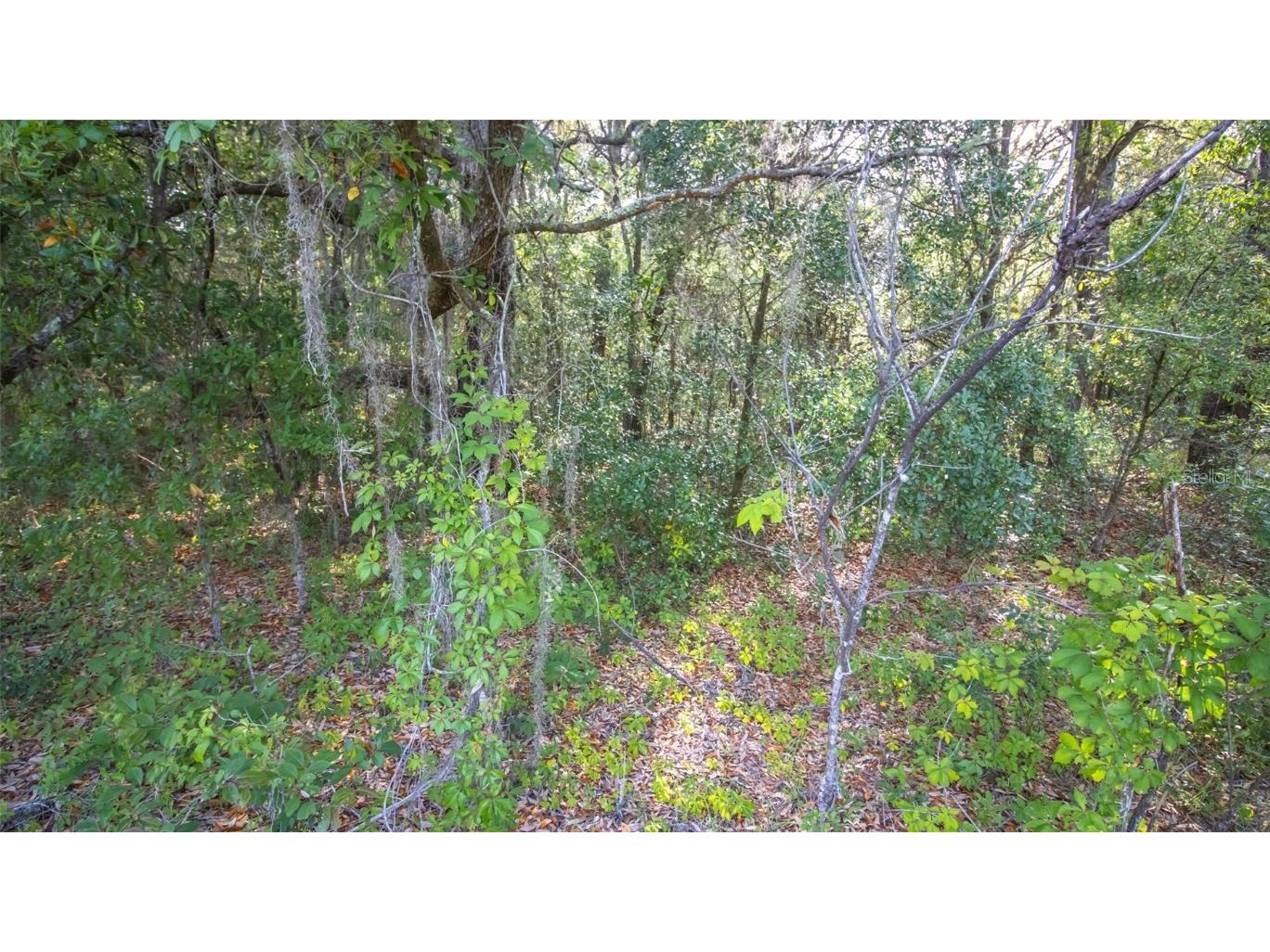 7685 Colorado Avenue Keystone Heights FL 32656 GC530359 image5