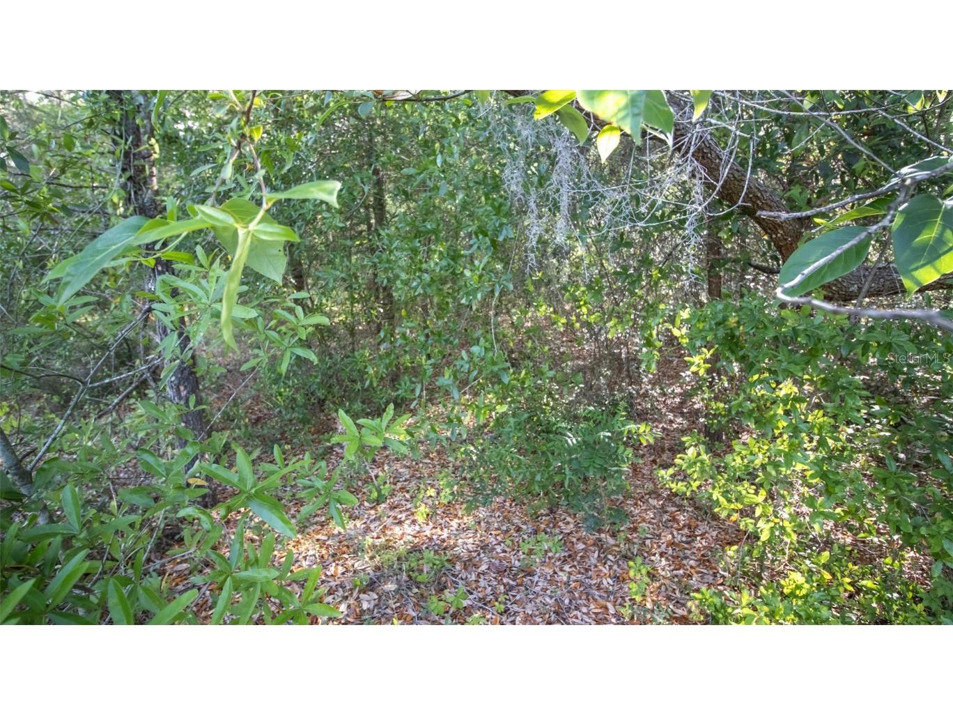 7685 Colorado Avenue Keystone Heights FL 32656 GC530359 image6