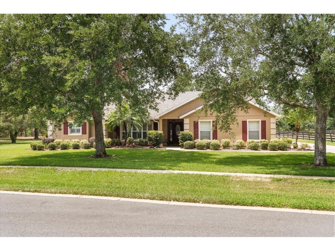 7685 Lake Angelina Drive Mount Dora FL 32757 G5096368 image1
