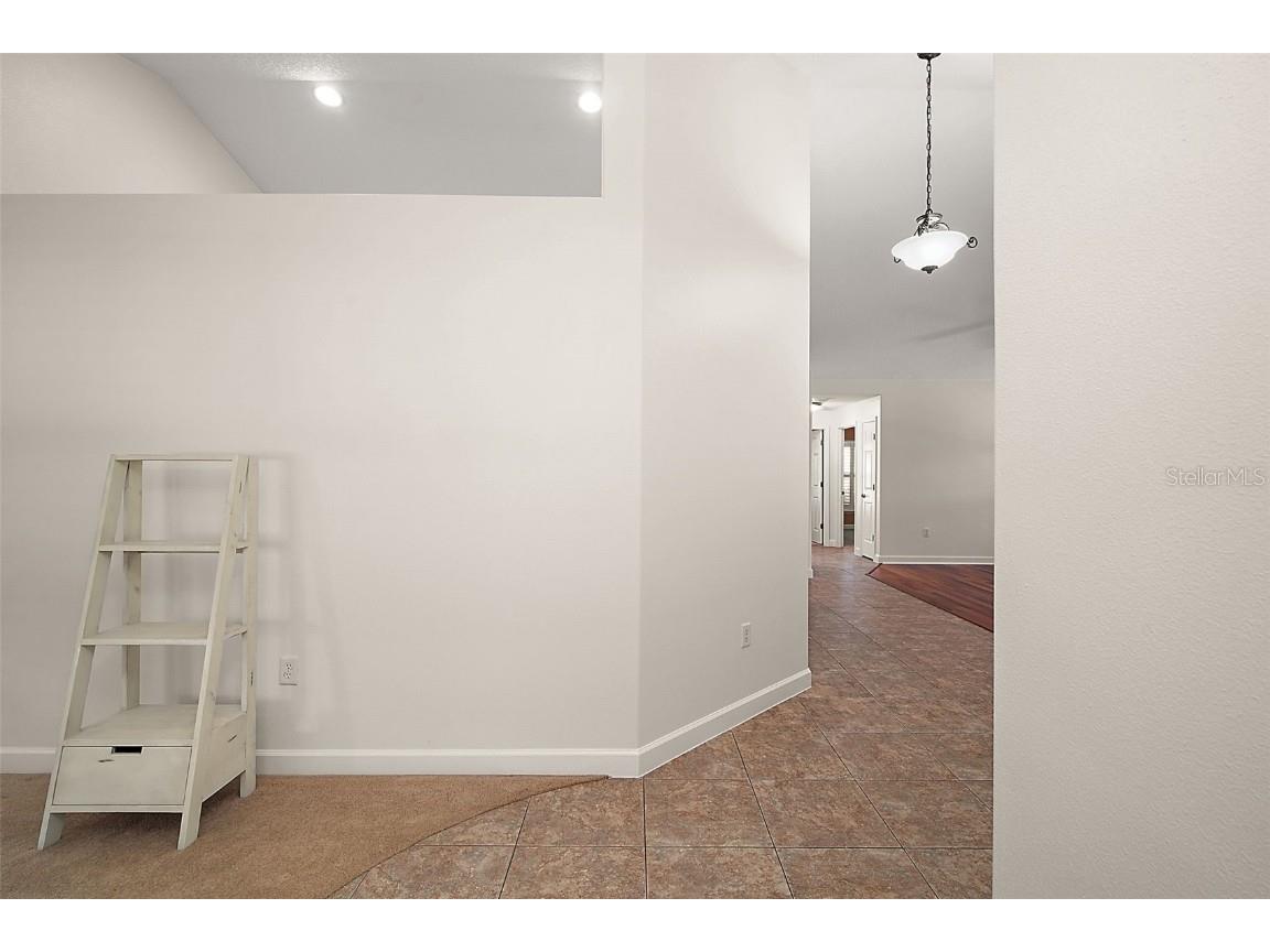 7685 Lake Angelina Drive Mount Dora FL 32757 G5100569 image17