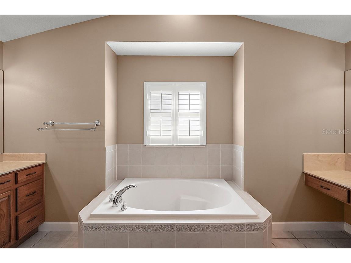 7685 Lake Angelina Drive Mount Dora FL 32757 G5100569 image24