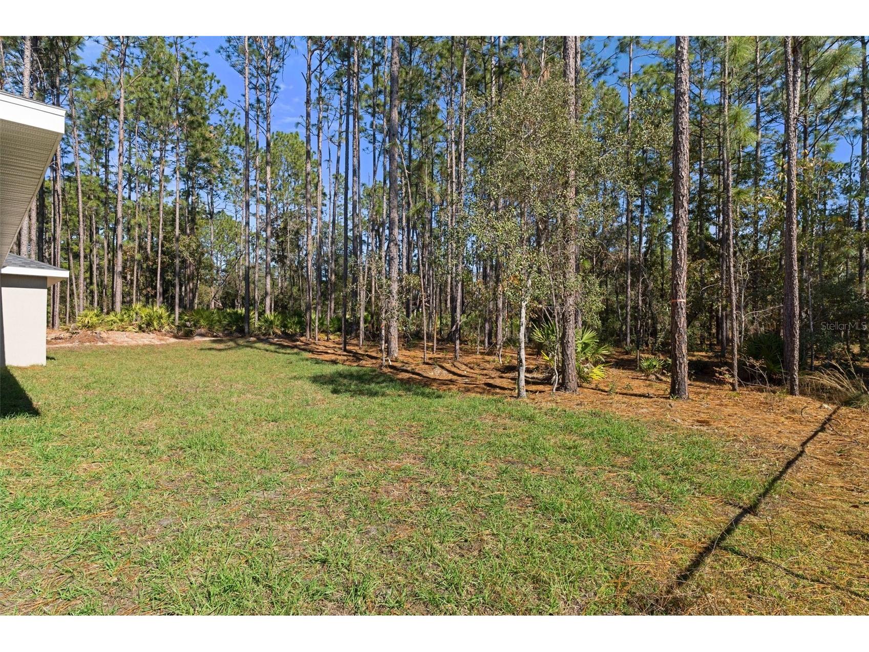 7685 N Maltese Drive Citrus Springs FL 34433 OM715879 image44