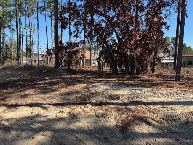 7685 SW 180th Circle Dunnellon FL 34432 OM694549 image17