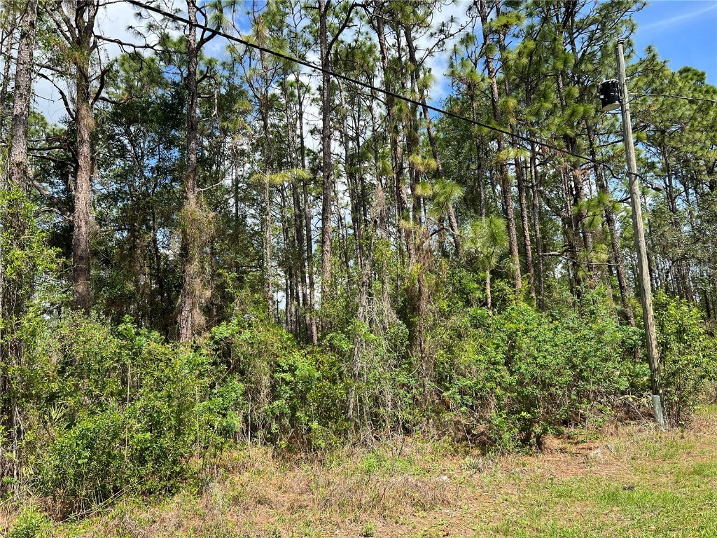 7686 N Udal Drive Citrus Springs FL 34433 OM658450 image1