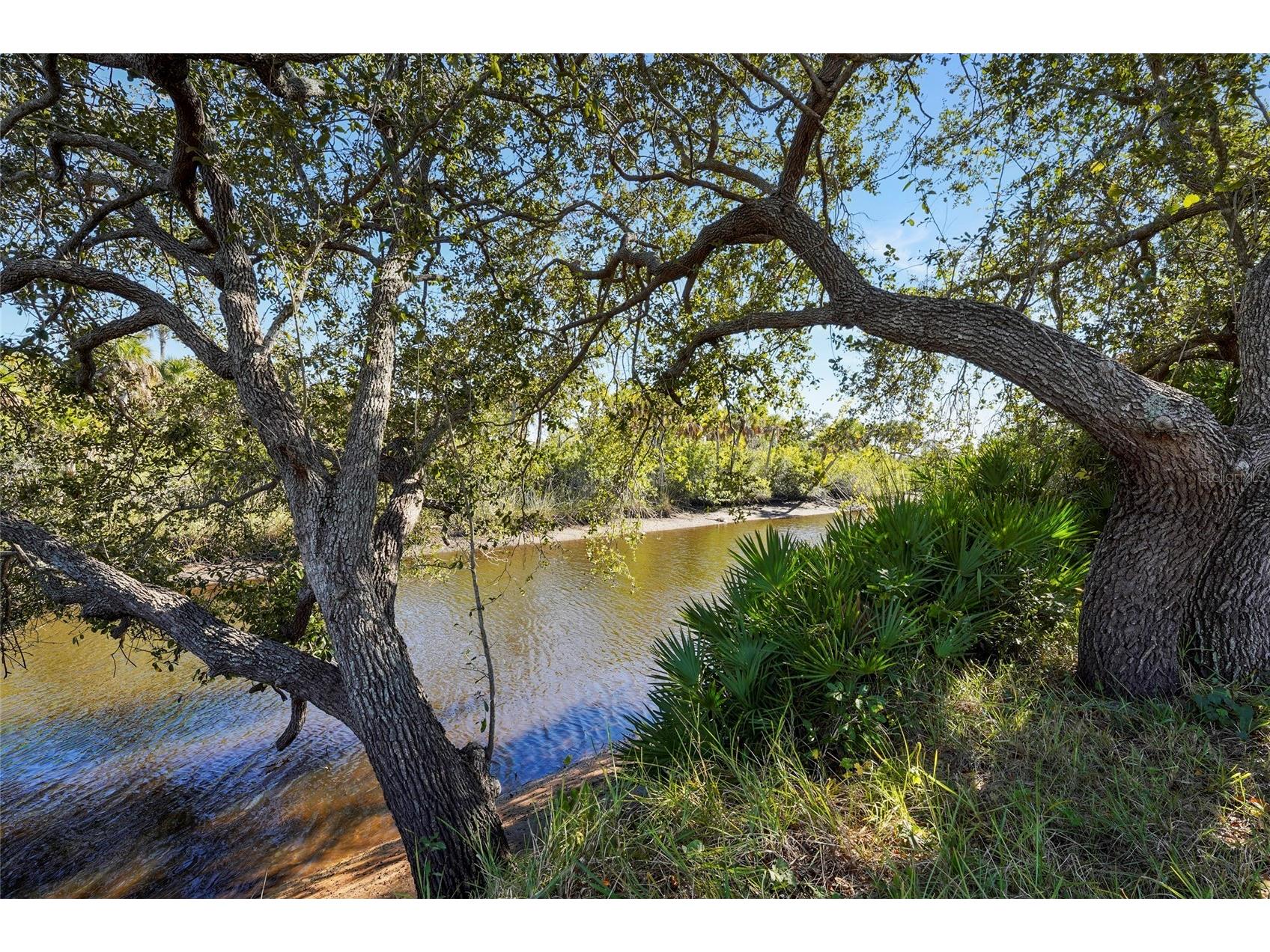 7686 Raptor Court North Port FL 34287 - MYAKKA RIVER A4678454 image53