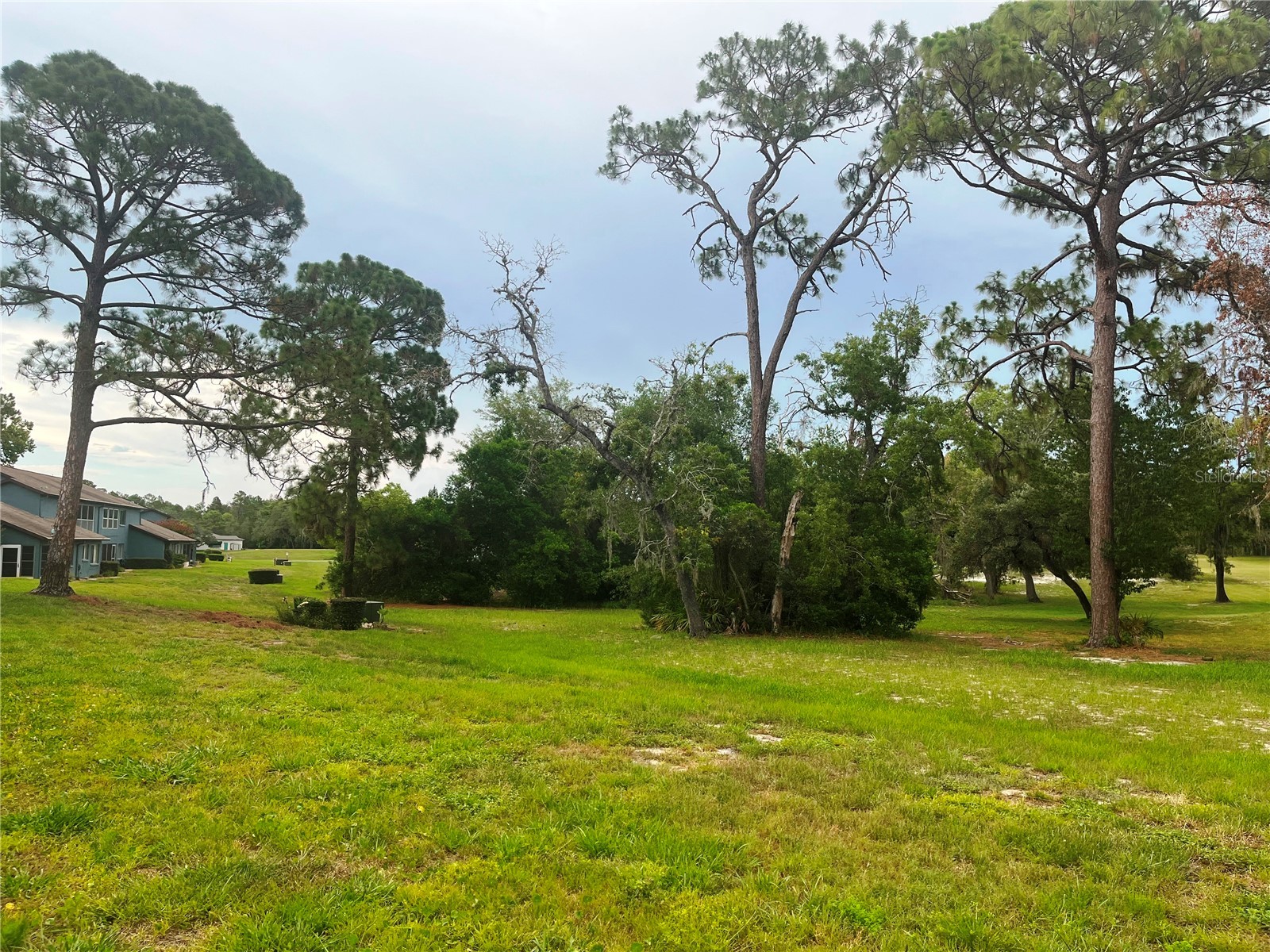 7686 St Andrews Boulevard Weeki Wachee FL 34613 W7887278 image29