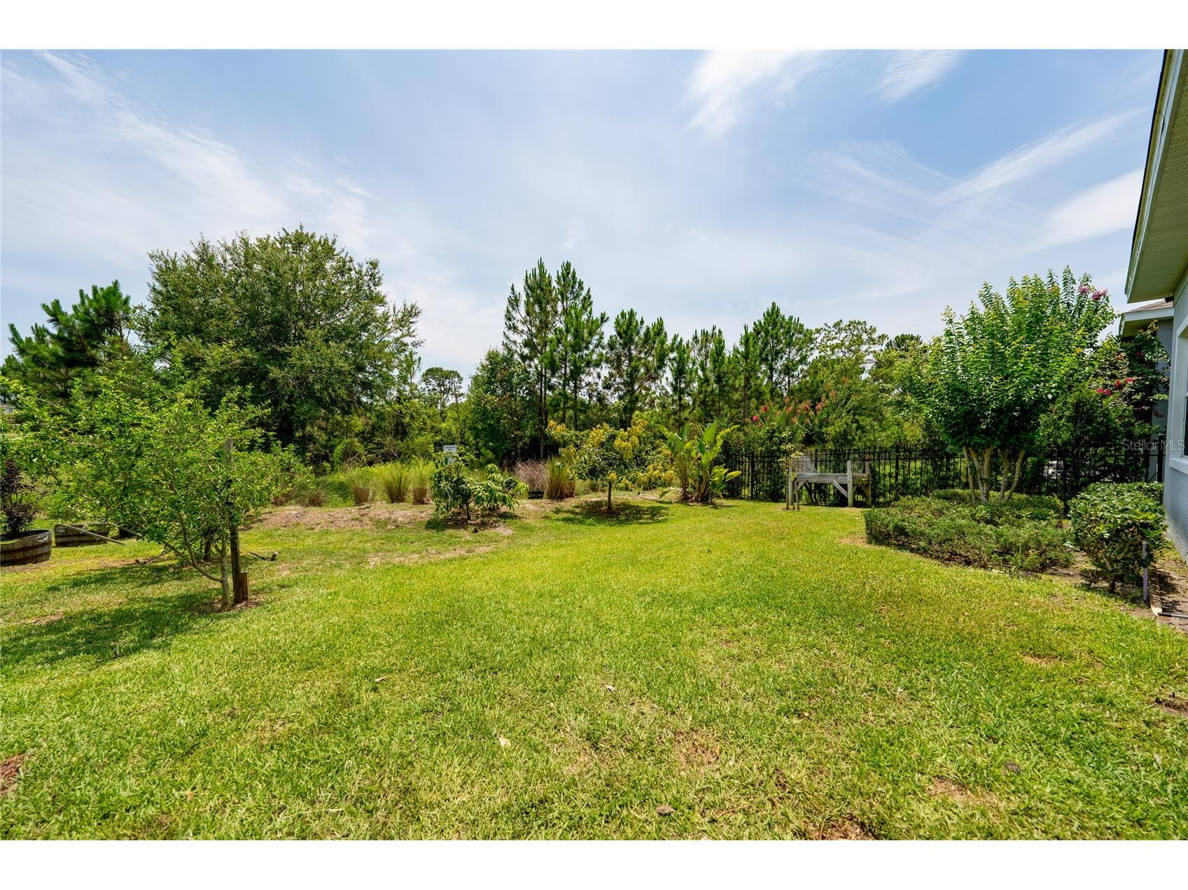 7687 Bowery Drive Winter Garden FL 34787 O6415123 image35