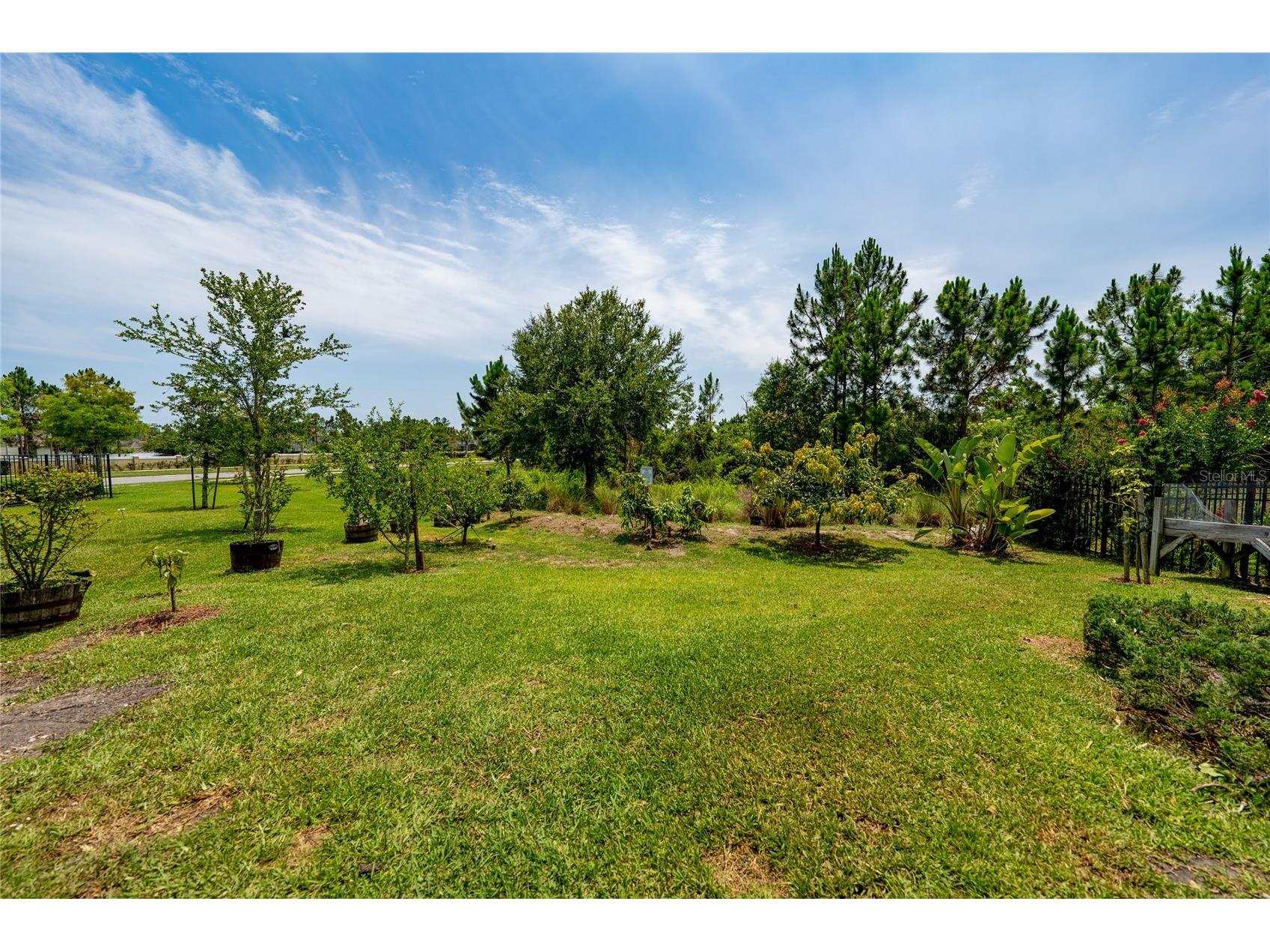7687 Bowery Drive Winter Garden FL 34787 O6415123 image36