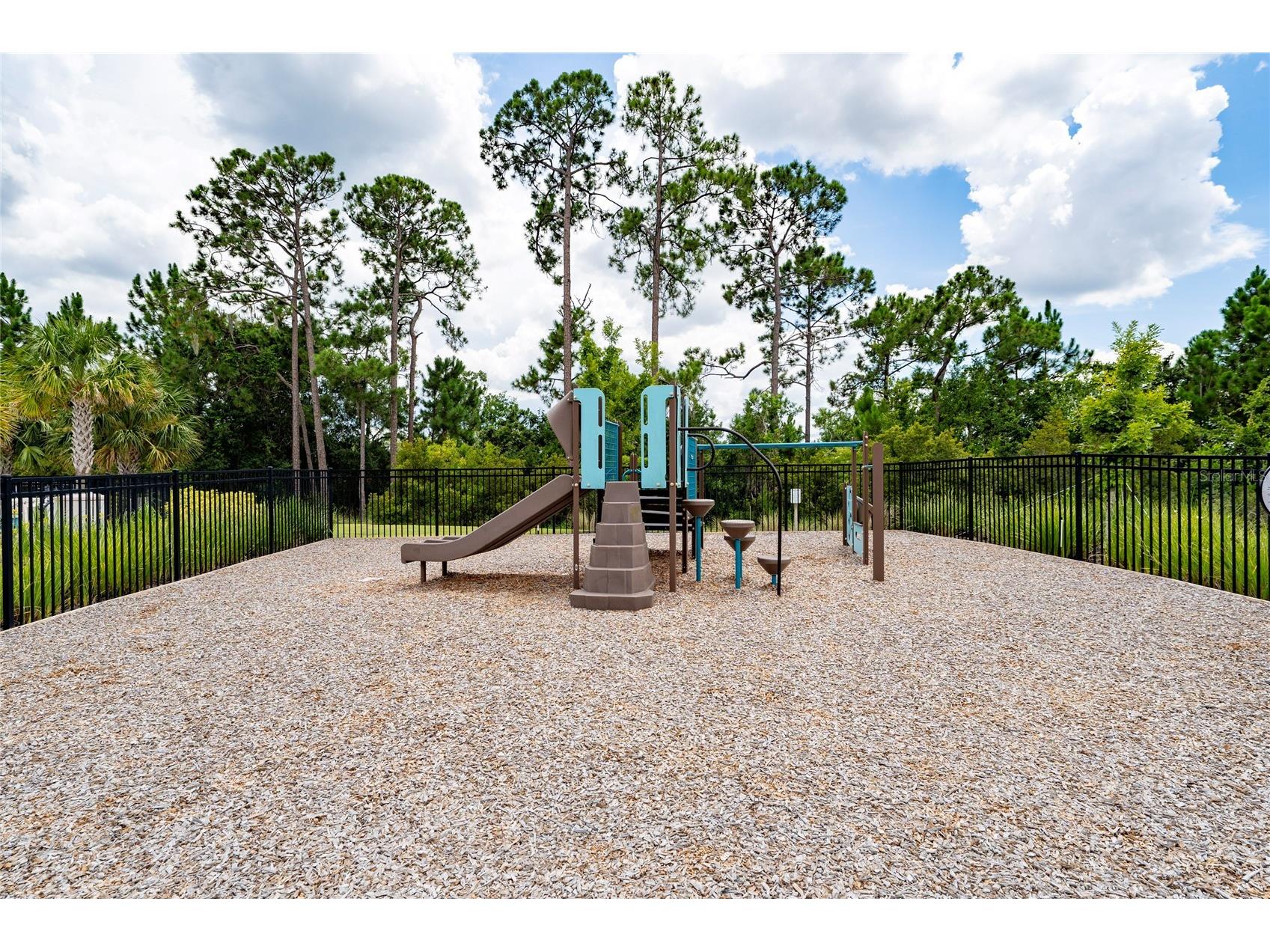 7687 Bowery Drive Winter Garden FL 34787 O6415123 image40