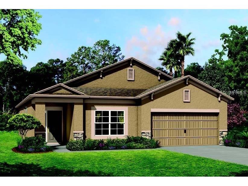 7687 Bronze Oak Drive Wesley Chapel FL 33545 T3470393 image1