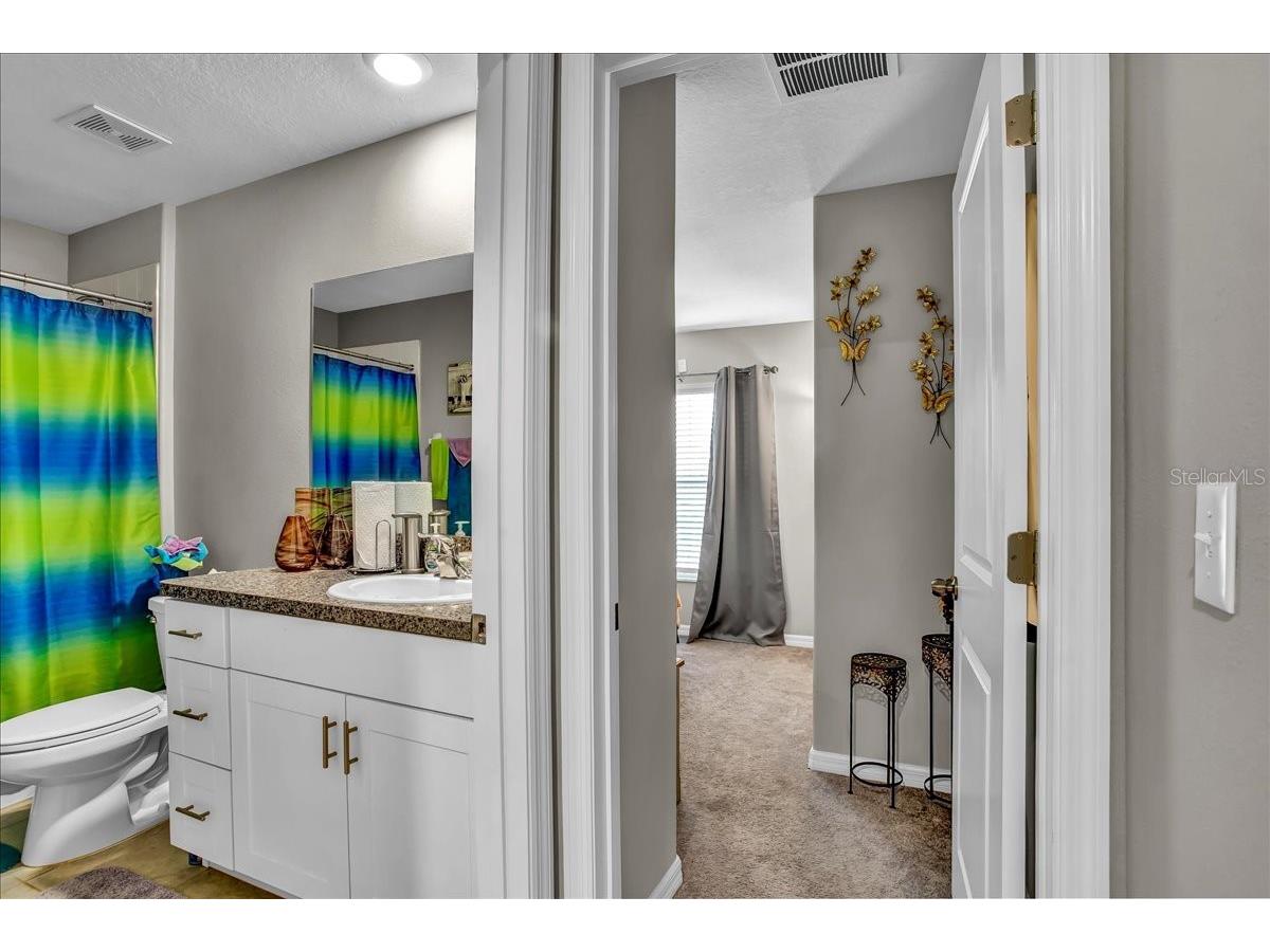 769 Calico Scallop Street Ruskin FL 33570 TB8407667 image19