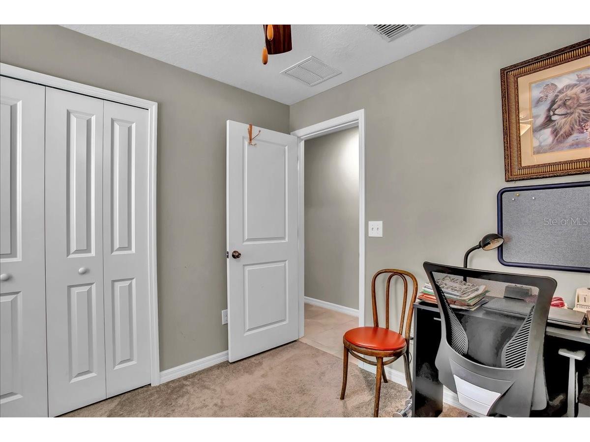 769 Calico Scallop Street Ruskin FL 33570 TB8407667 image38