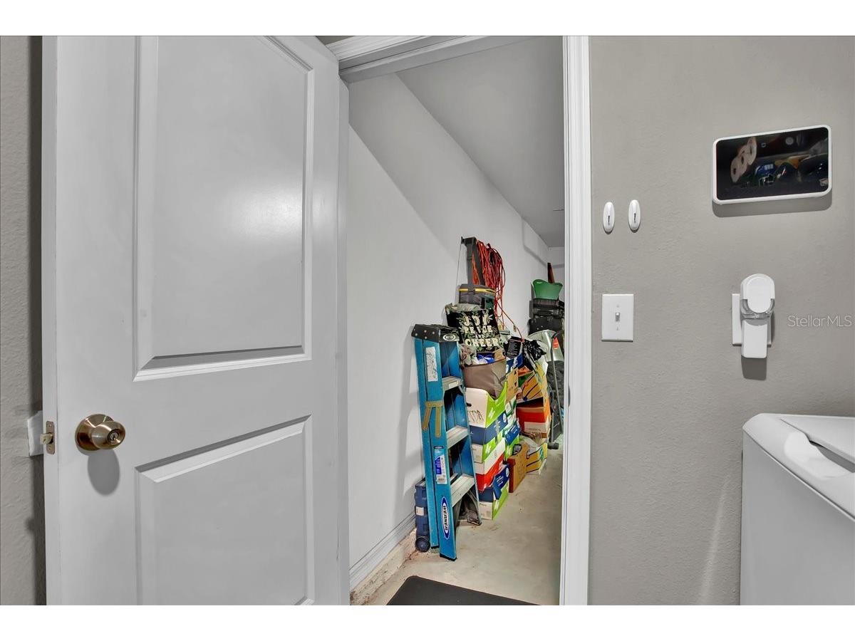 769 Calico Scallop Street Ruskin FL 33570 TB8407667 image49