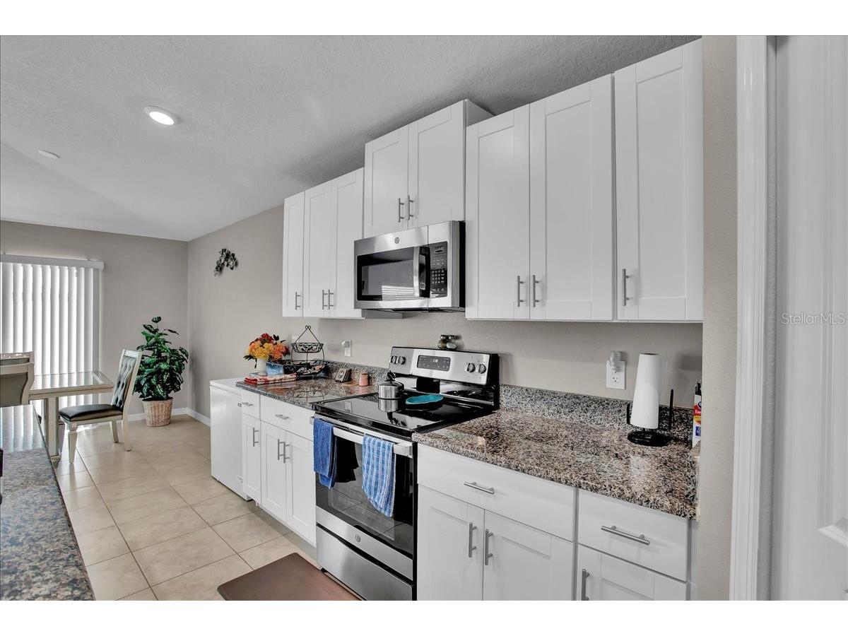 769 Calico Scallop Street Ruskin FL 33570 TB8407667 image62