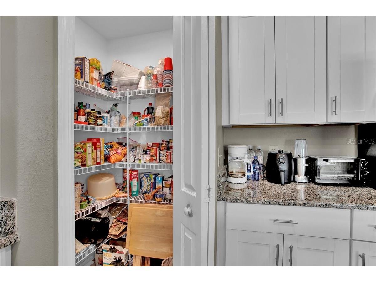 769 Calico Scallop Street Ruskin FL 33570 TB8407667 image79