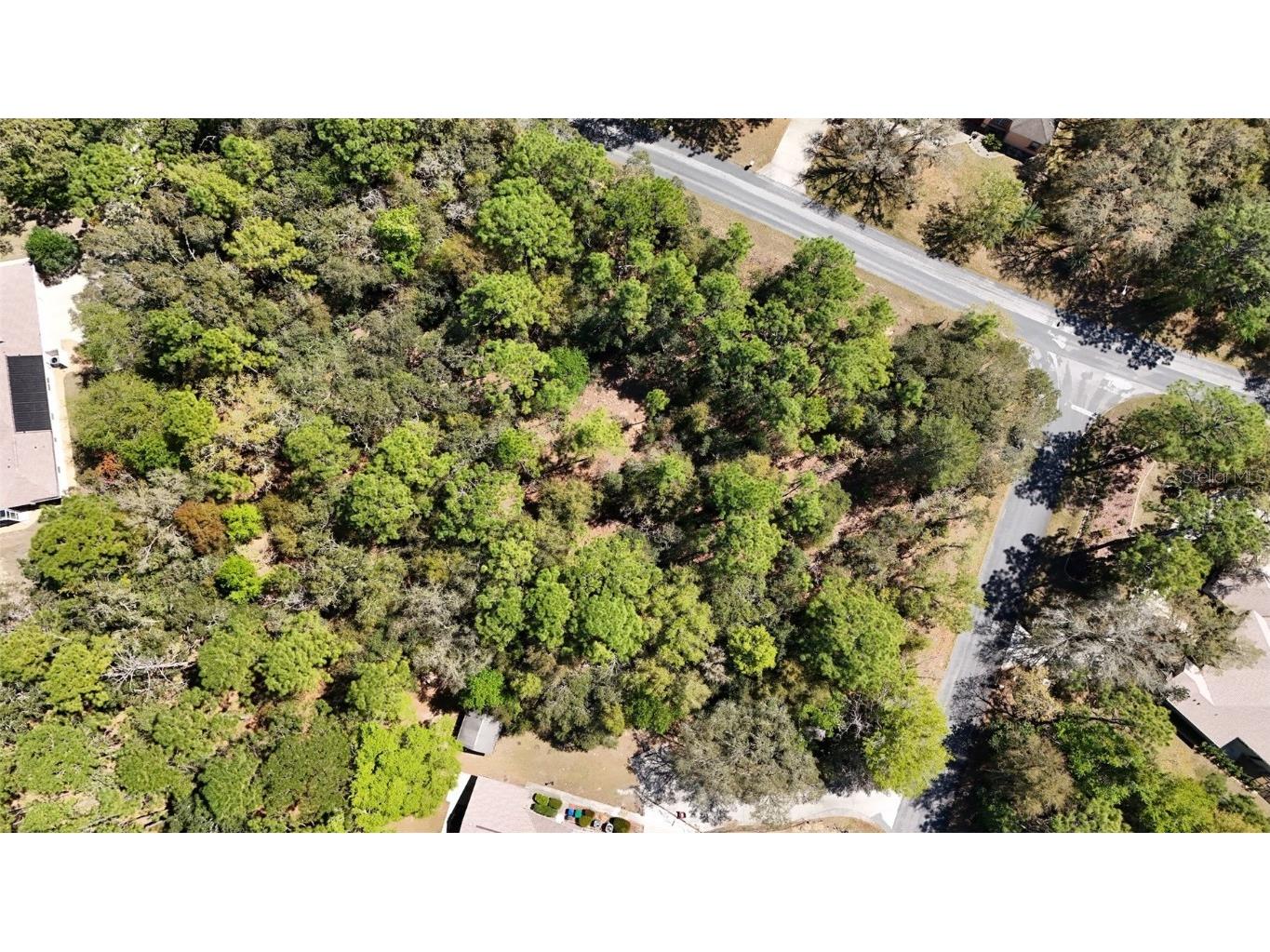 769 E Foresthill Place Hernando FL 34442 O6290649 image1